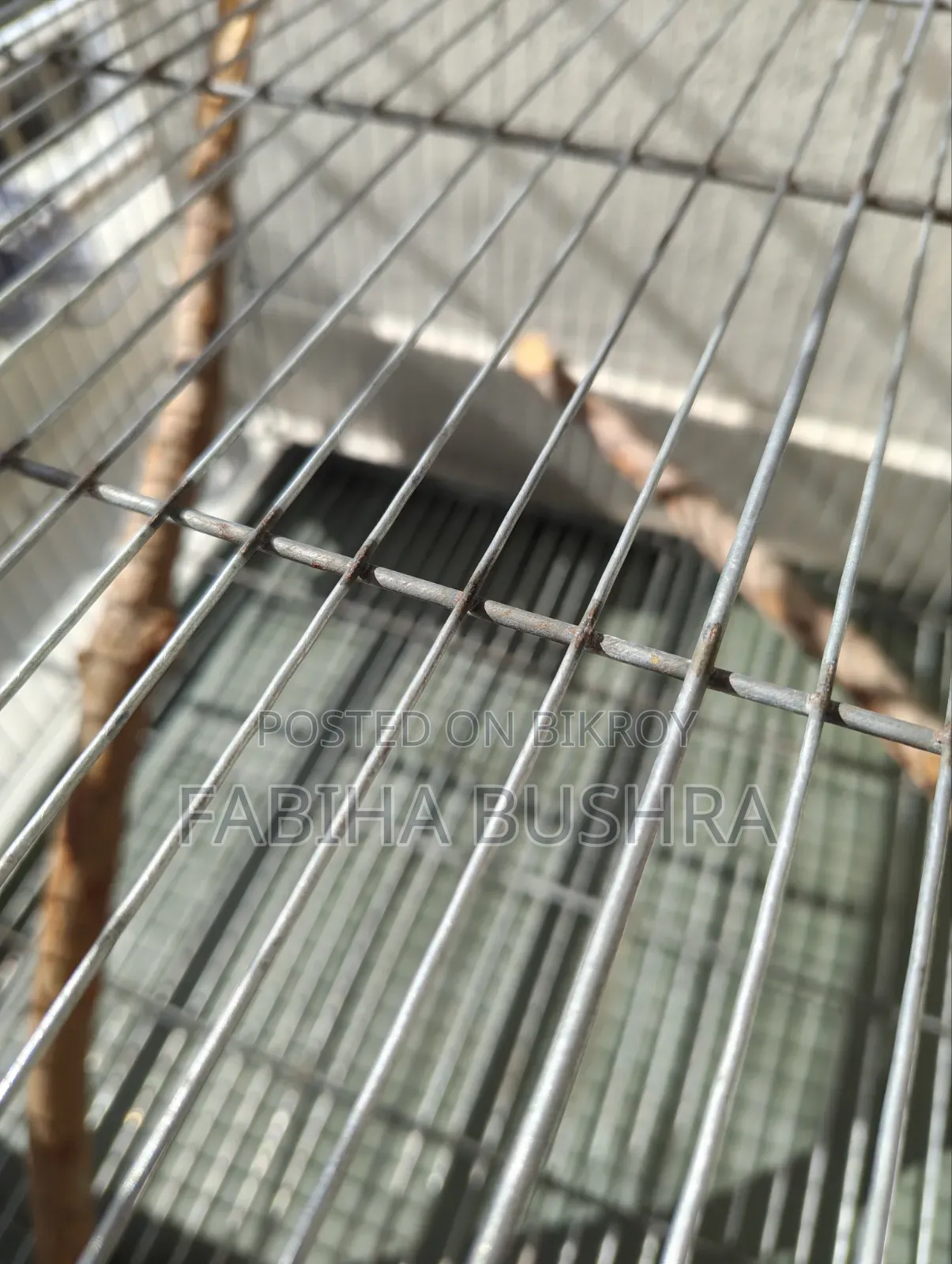 Bird cage, tray, food, food and water container