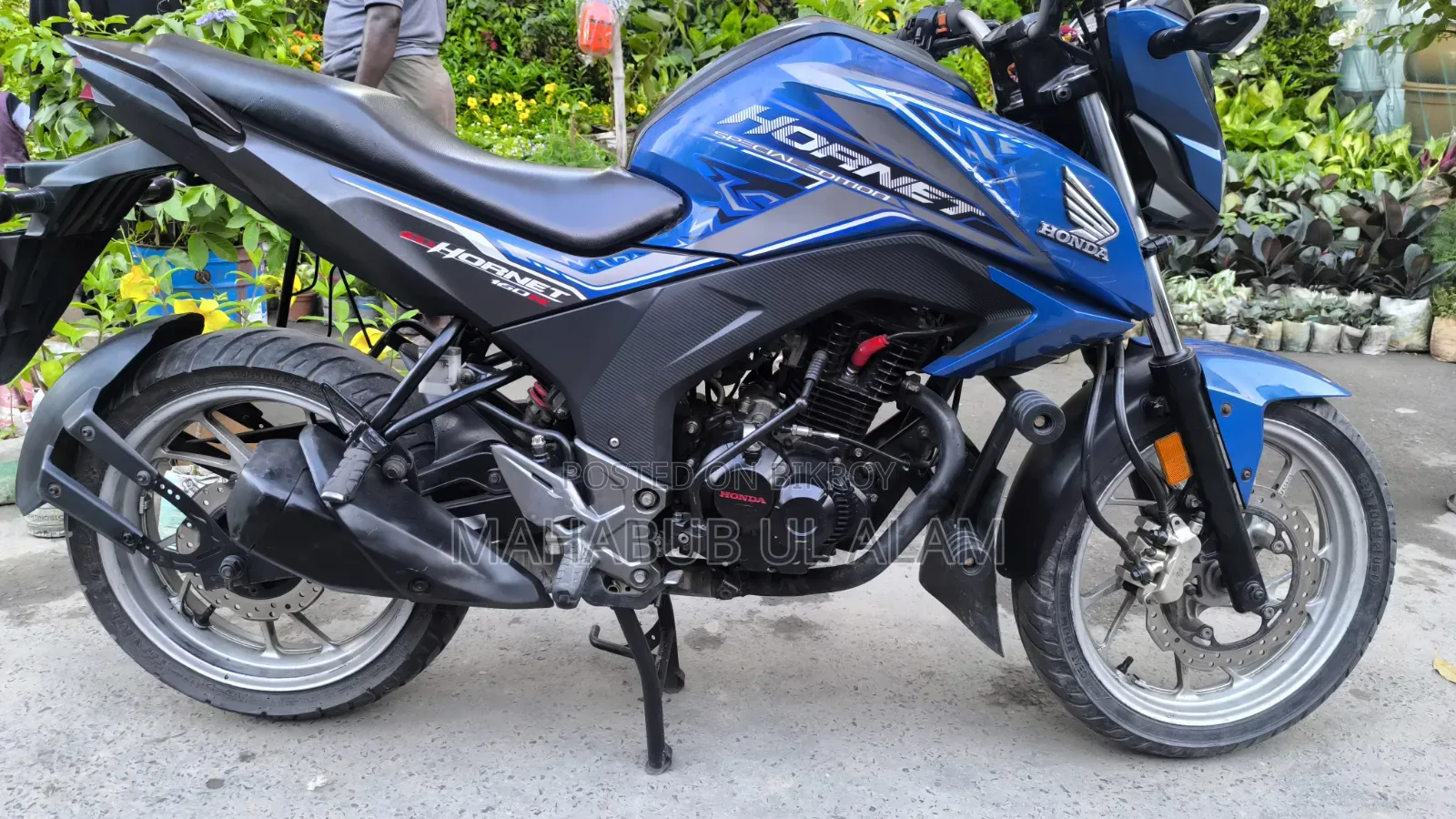 Honda Hornet 2020 Blue