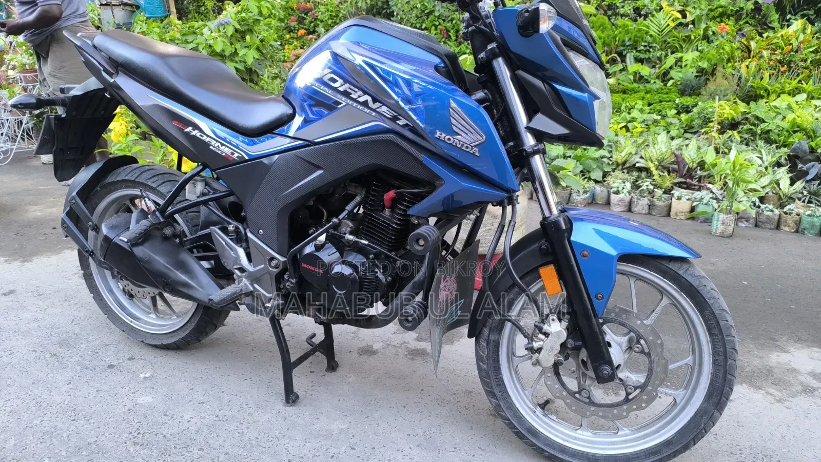 Honda Hornet 2020 Blue