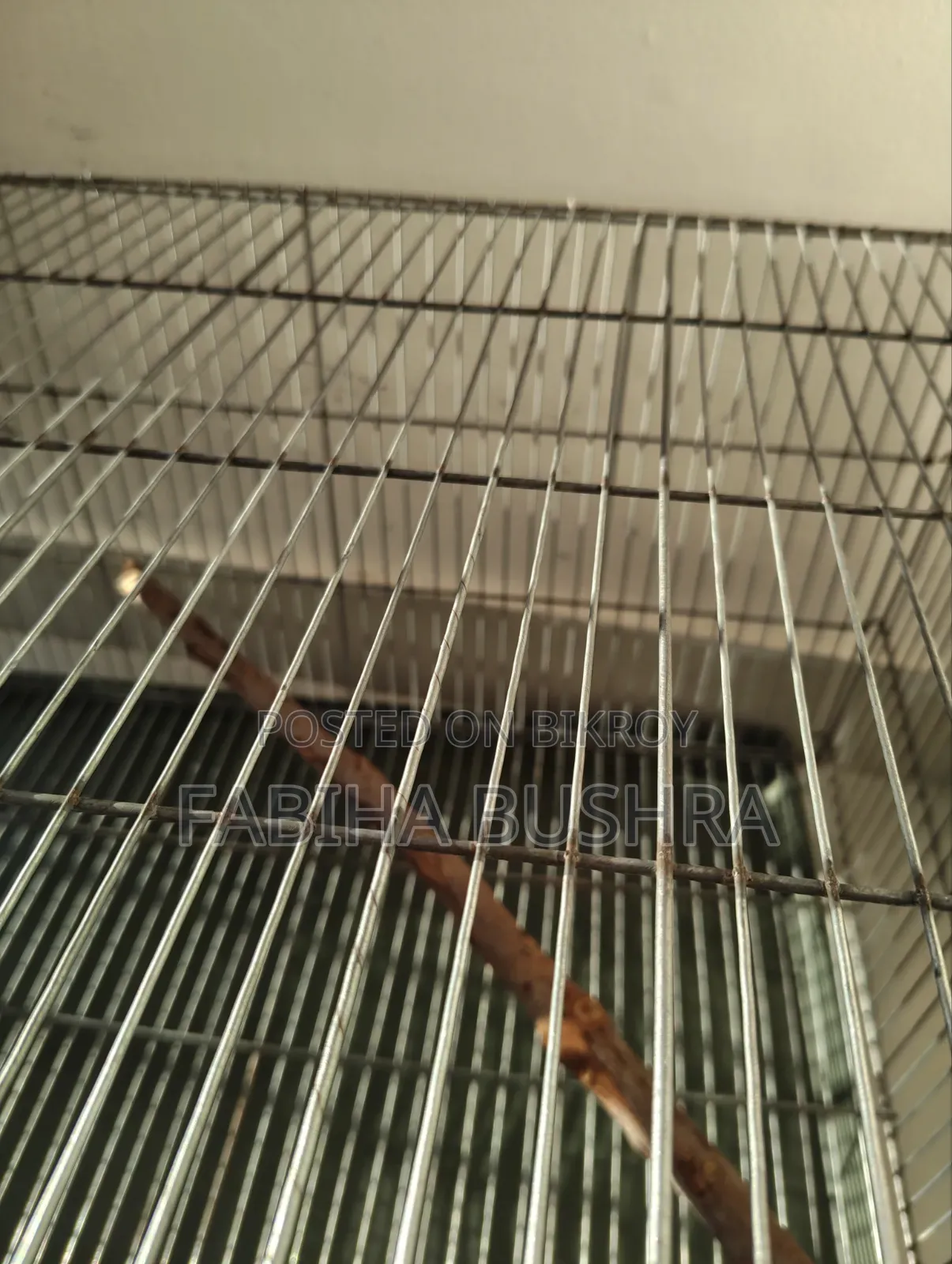 Bird cage, tray, food, food and water container