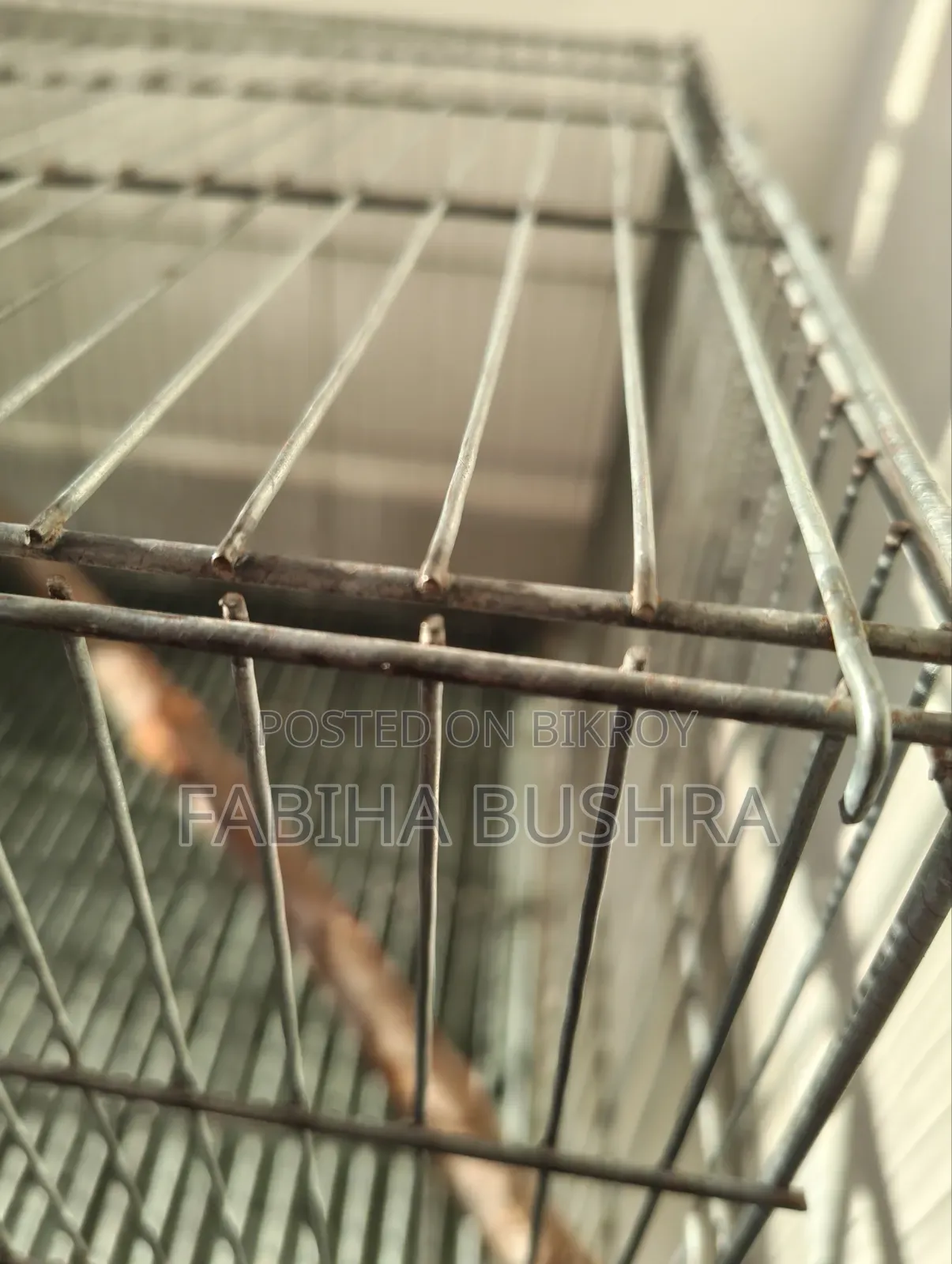 Bird cage, tray, food, food and water container