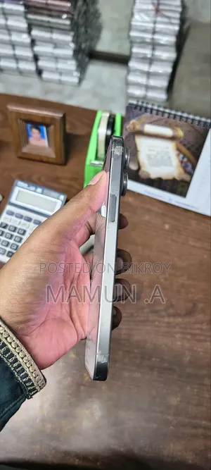 Apple iPhone 15 Pro Max 256 GB Gray