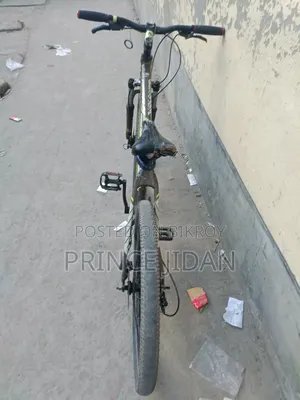 Foxter Cycle