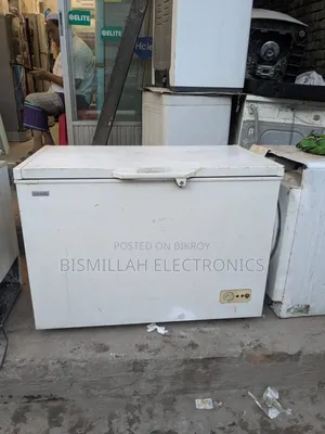 Singer 295 Liter Deep Freezer