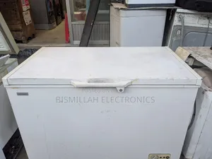Singer 295 Liter Deep Freezer