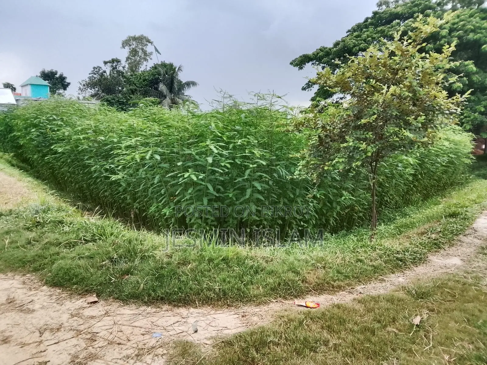 Property On Narsingdi