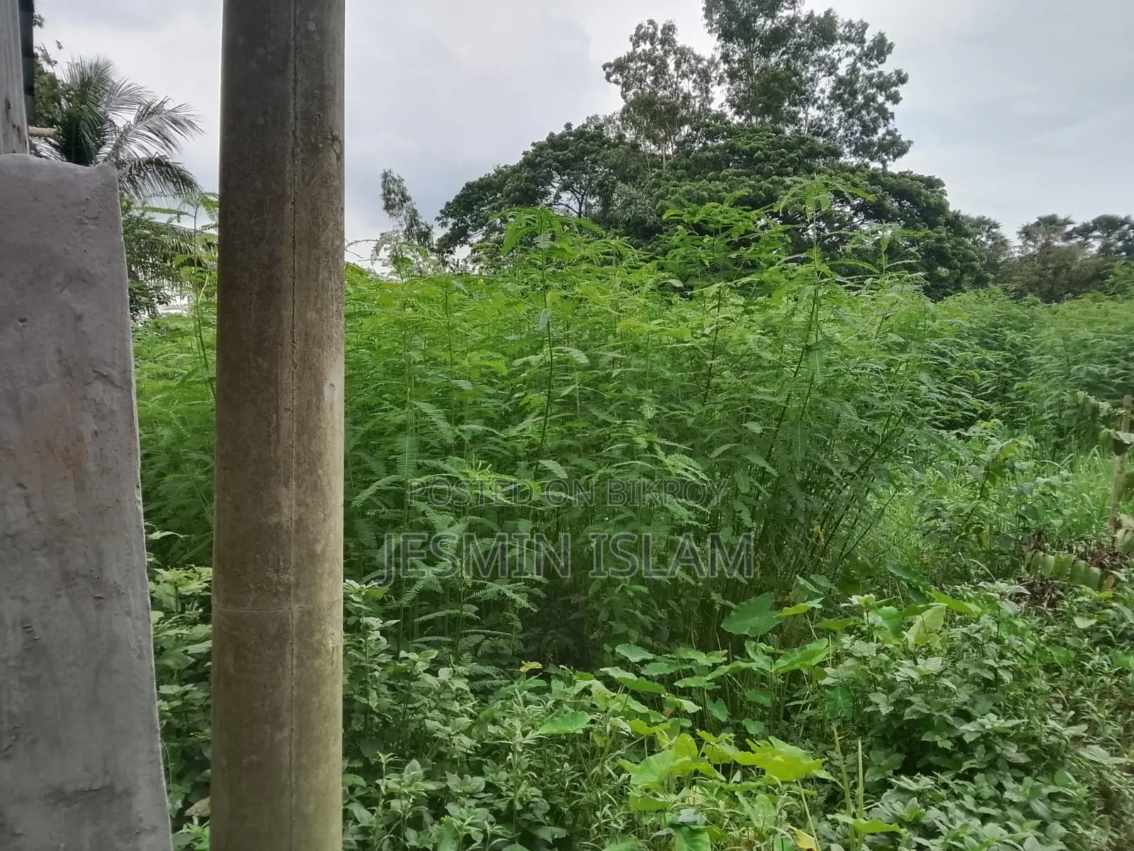 Property On Narsingdi