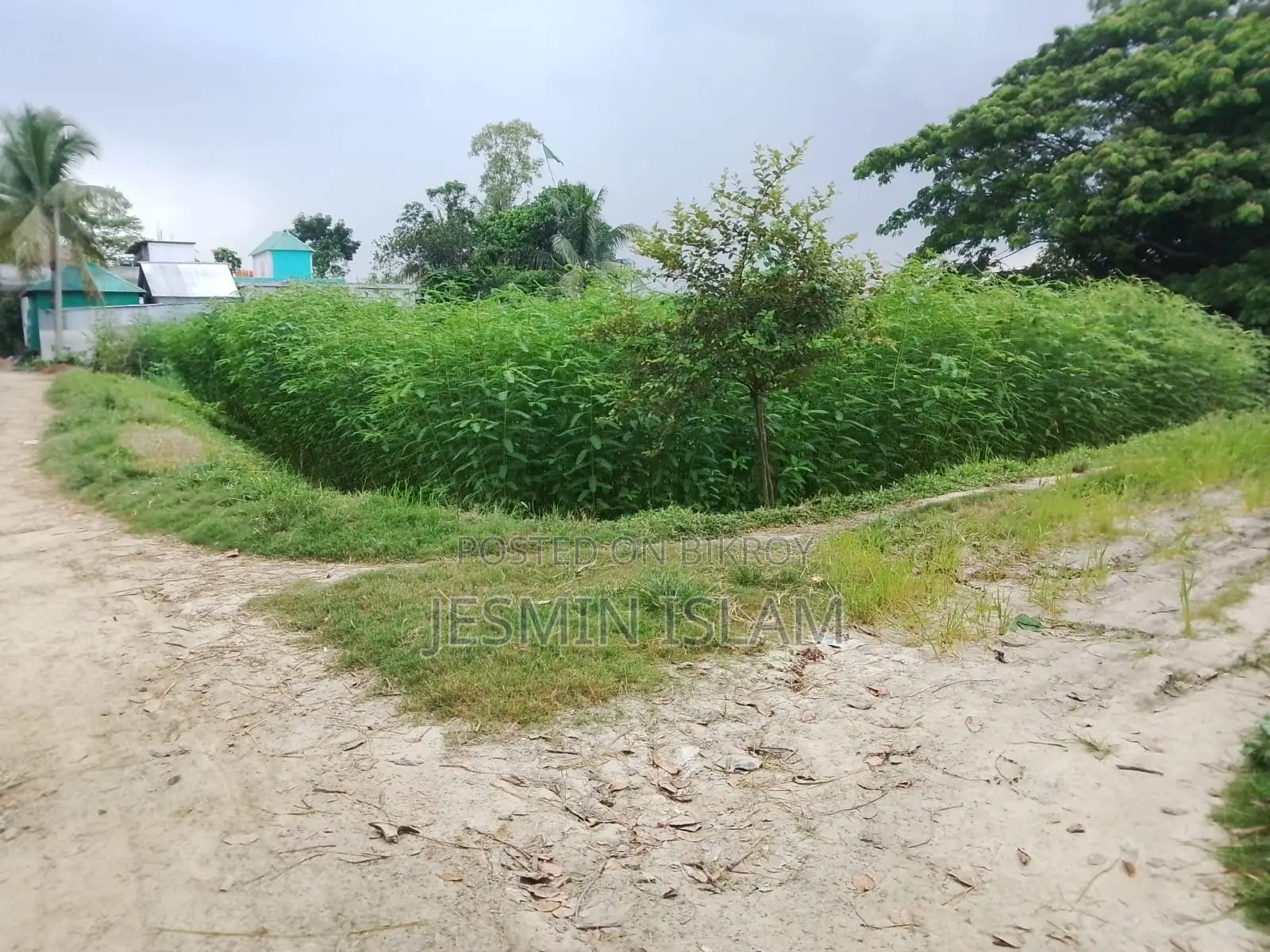 Property On Narsingdi