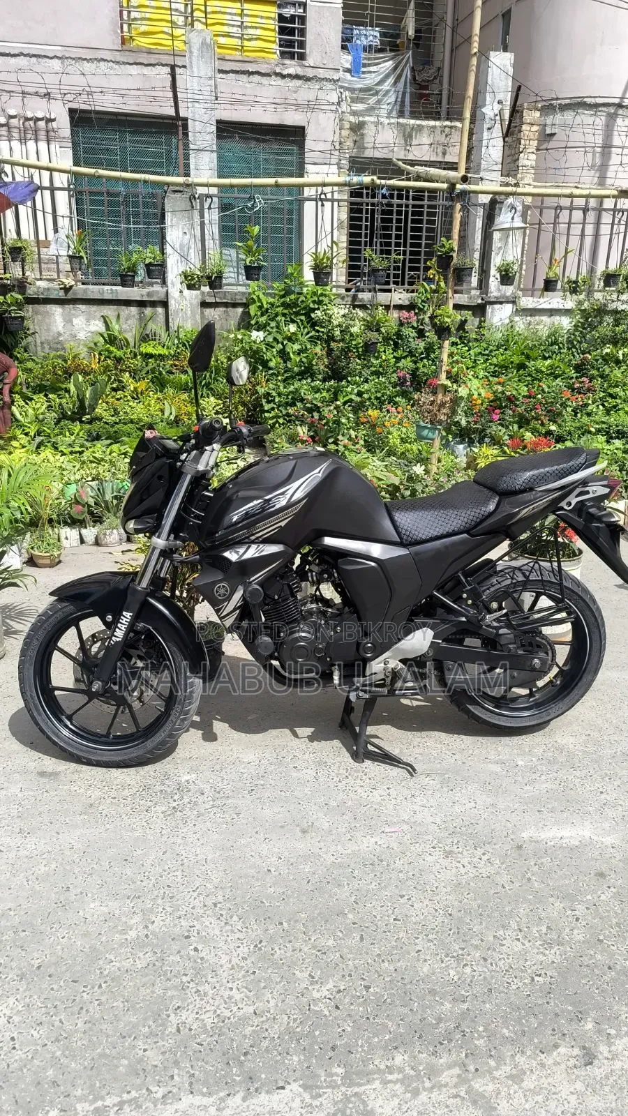 Yamaha FZ6 2025 Black