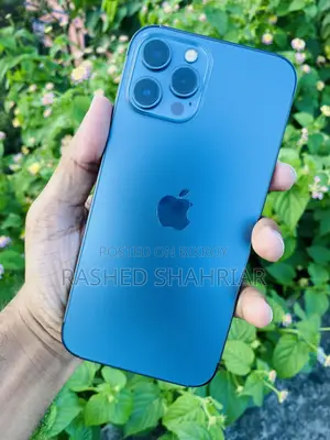 Apple iPhone 12 Pro Max 256 GB Blue