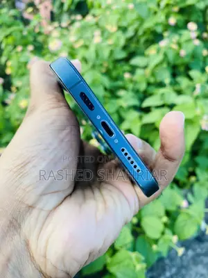 Apple iPhone 12 Pro Max 256 GB Blue