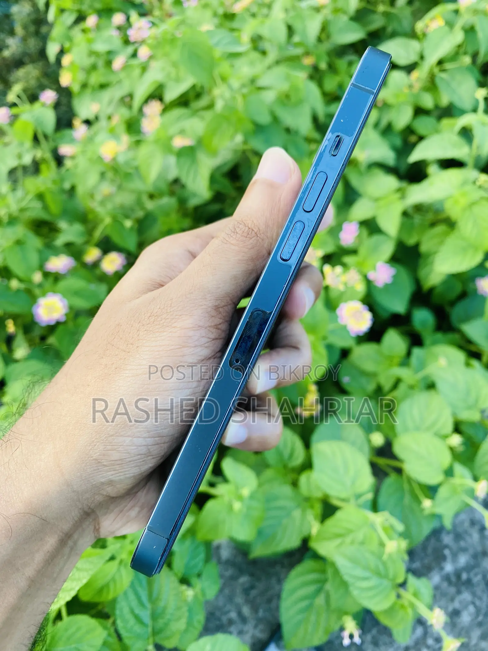 Apple iPhone 12 Pro Max 256 GB Blue