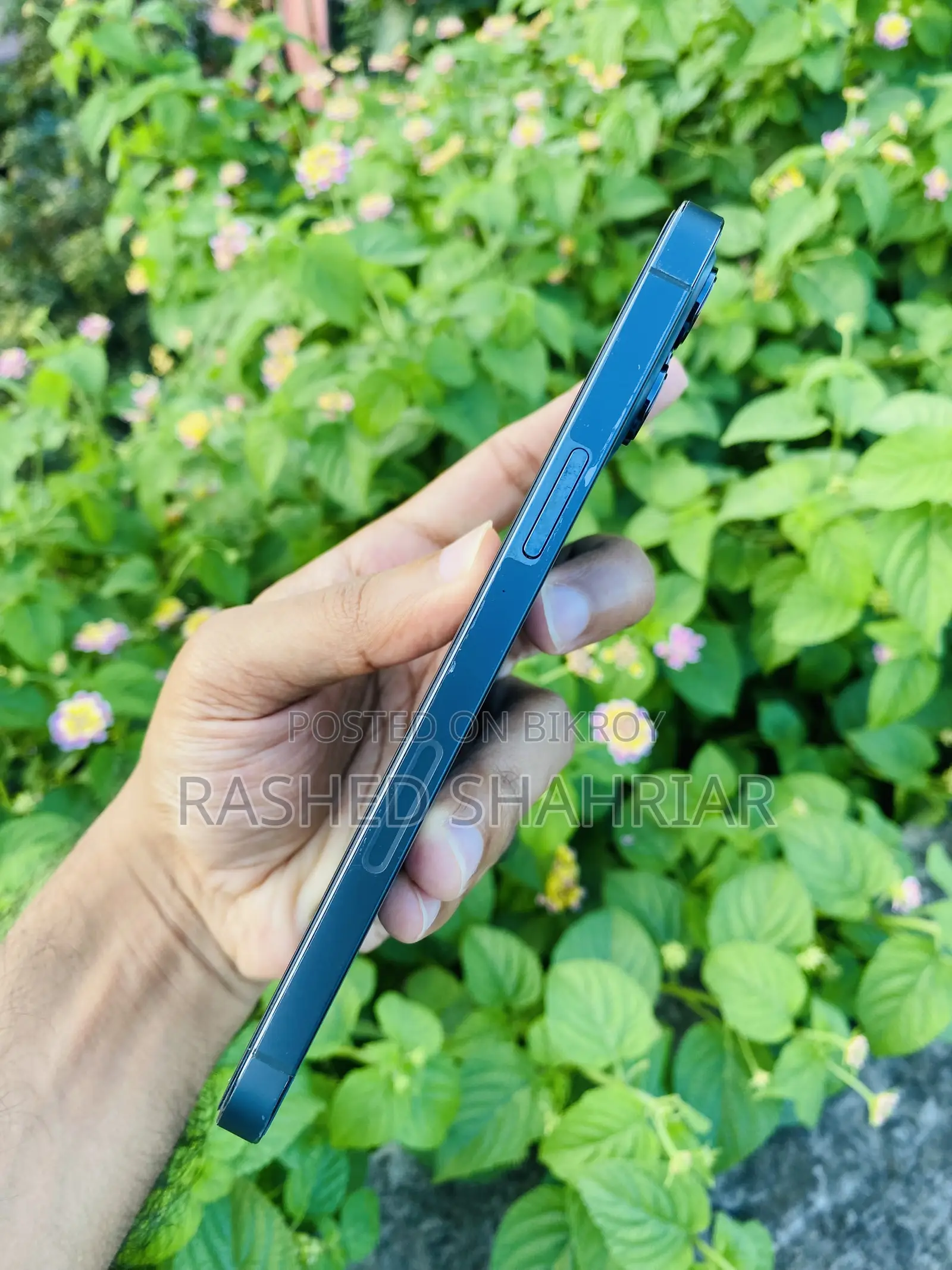 Apple iPhone 12 Pro Max 256 GB Blue