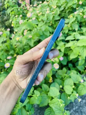 Apple iPhone 12 Pro Max 256 GB Blue
