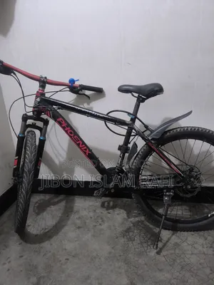 Phonix Gear Cycle