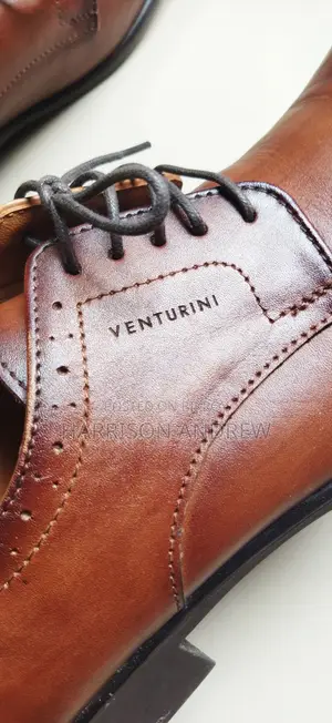 Apex Men's Shoe