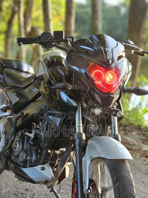 Bajaj Pulsar NS 160 2020 Gray