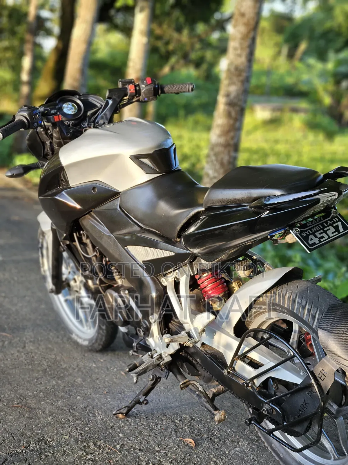 Bajaj Pulsar NS 160 2020 Gray