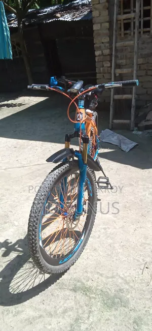 Avon Cycle 26"