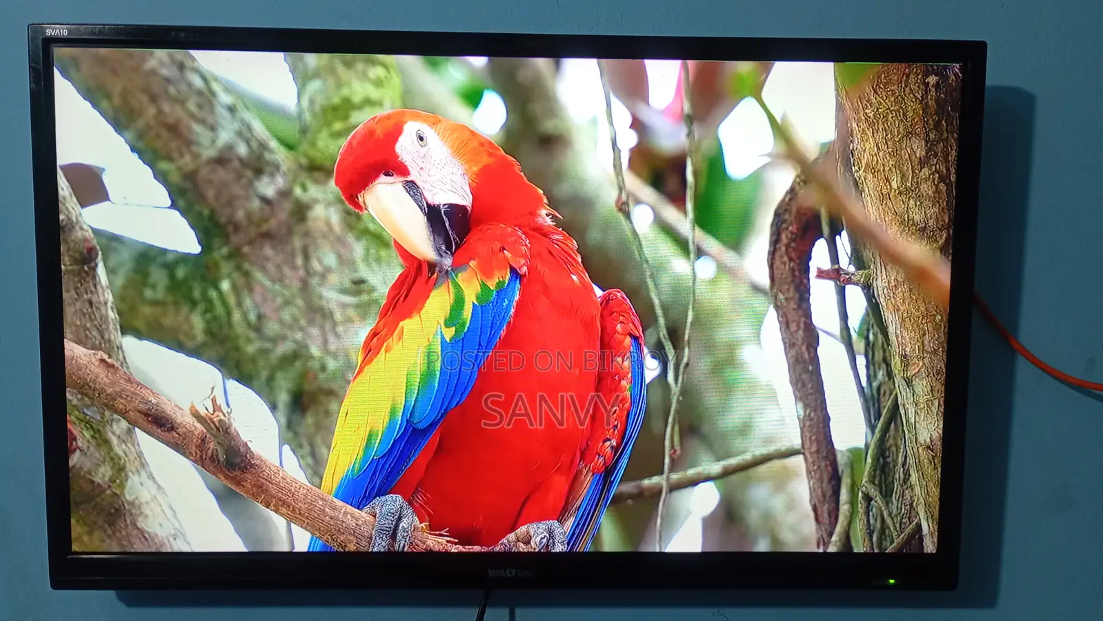 Walton TV Sell