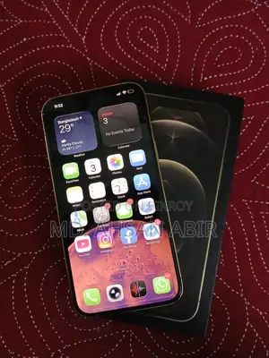Apple iPhone 12 Pro Max 256 GB Gold