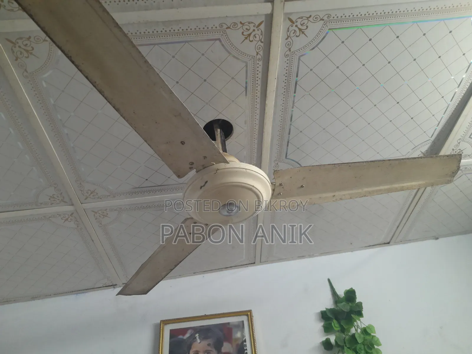 National Tongi Fan