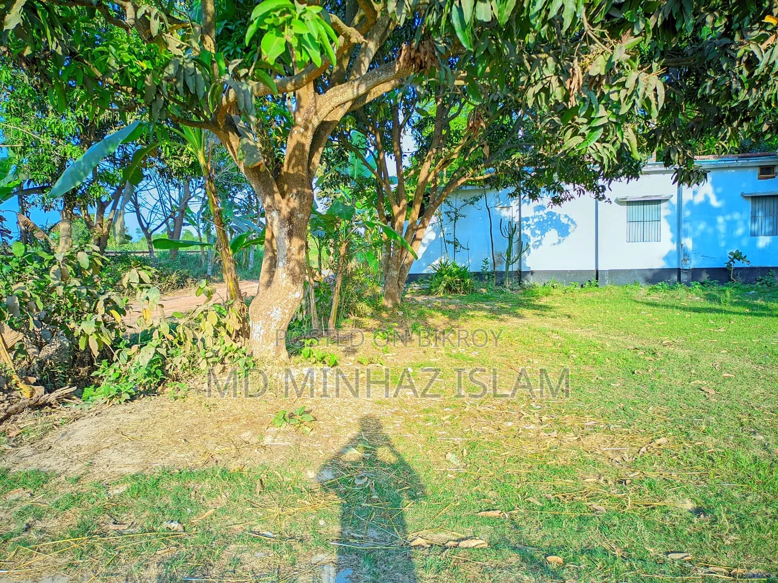কম দামে জমিটি দিয়ে দিচ্ছি দুরুত যোগাযোগ করুন