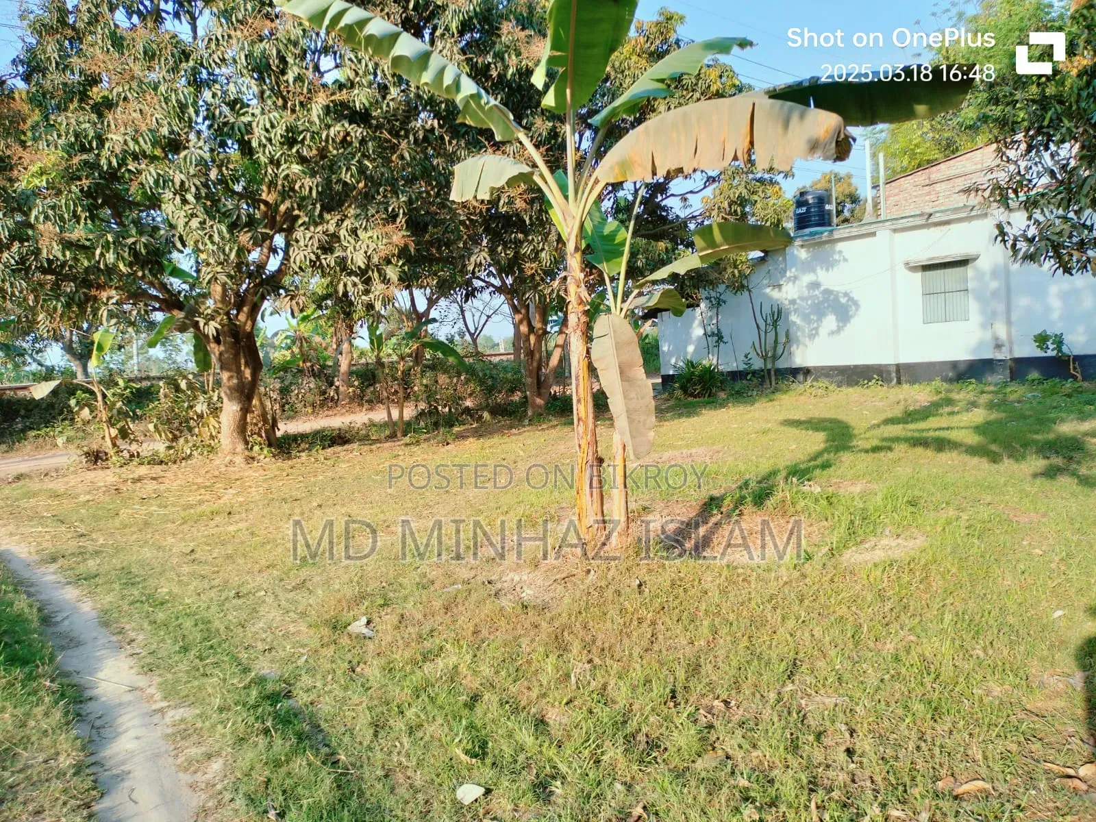 কম দামে জমিটি দিয়ে দিচ্ছি দুরুত যোগাযোগ করুন