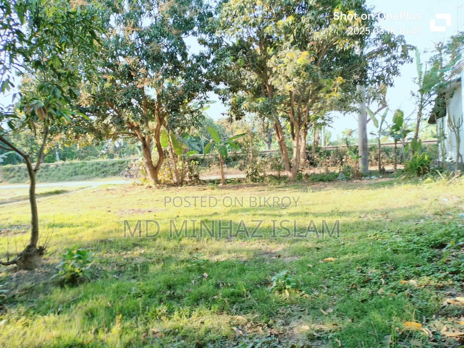 কম দামে জমিটি দিয়ে দিচ্ছি দুরুত যোগাযোগ করুন