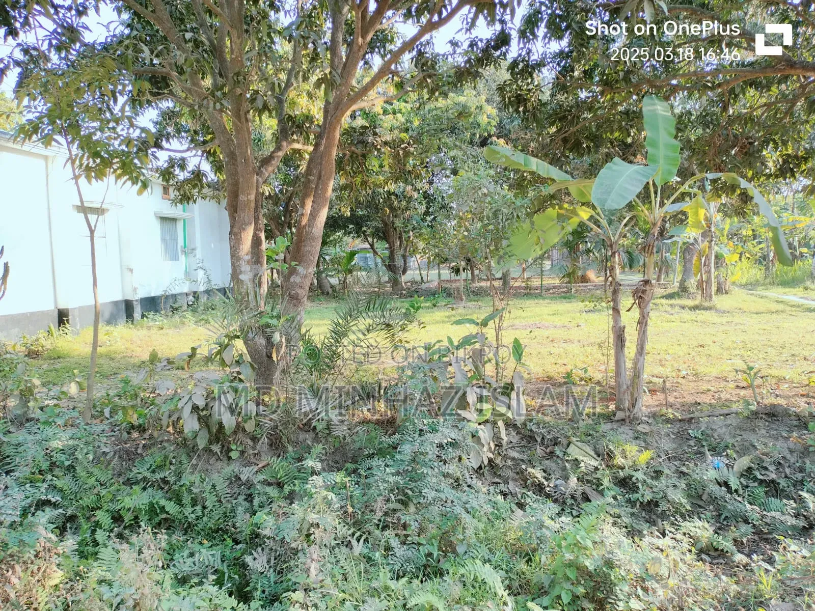 কম দামে জমিটি দিয়ে দিচ্ছি দুরুত যোগাযোগ করুন