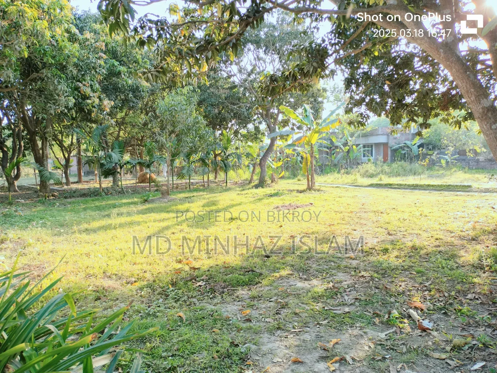 কম দামে জমিটি দিয়ে দিচ্ছি দুরুত যোগাযোগ করুন