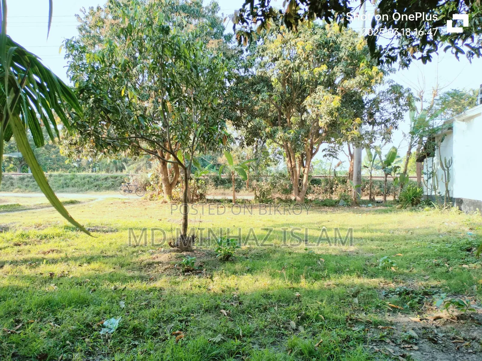 কম দামে জমিটি দিয়ে দিচ্ছি দুরুত যোগাযোগ করুন