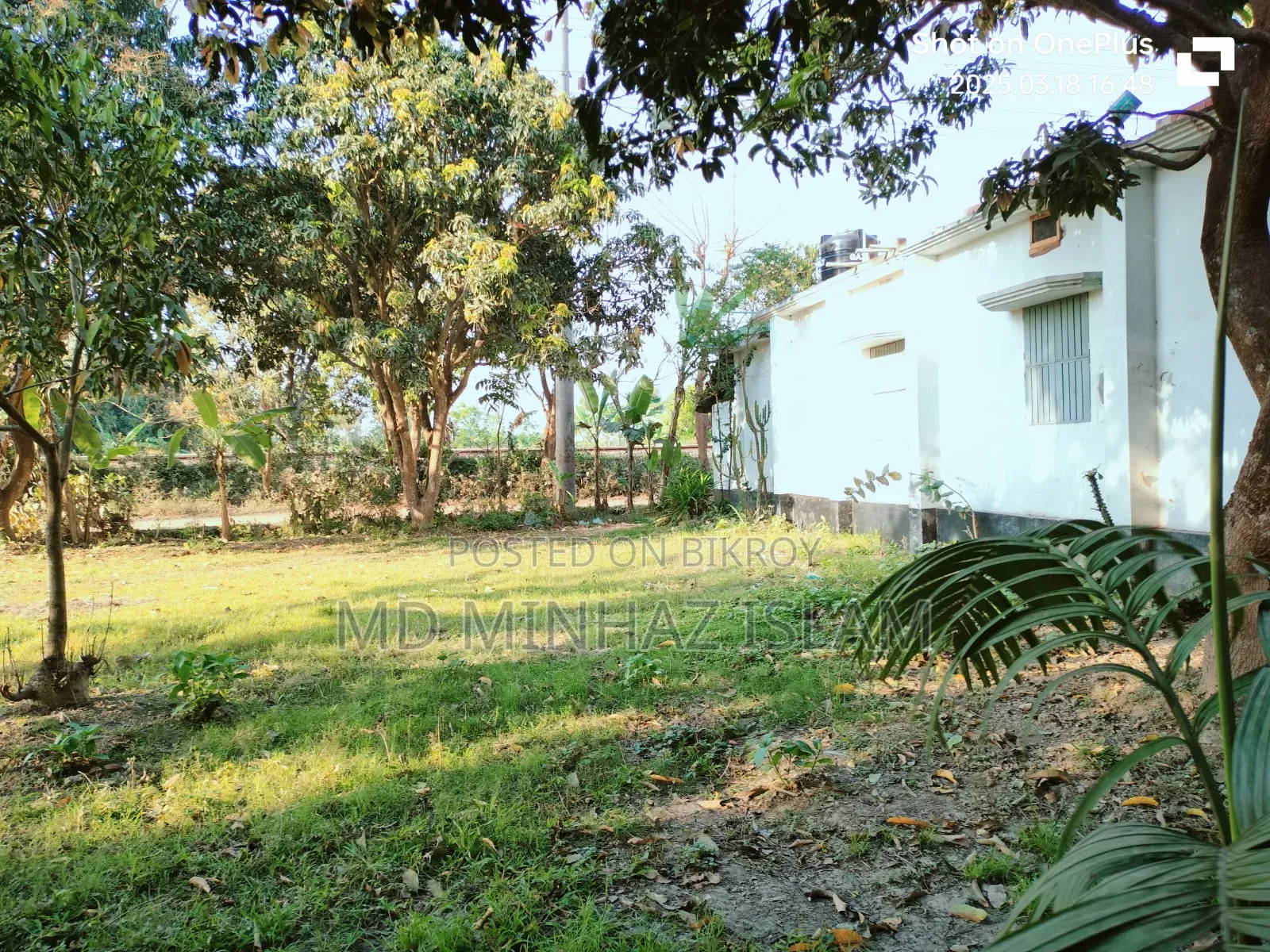 কম দামে জমিটি দিয়ে দিচ্ছি দুরুত যোগাযোগ করুন