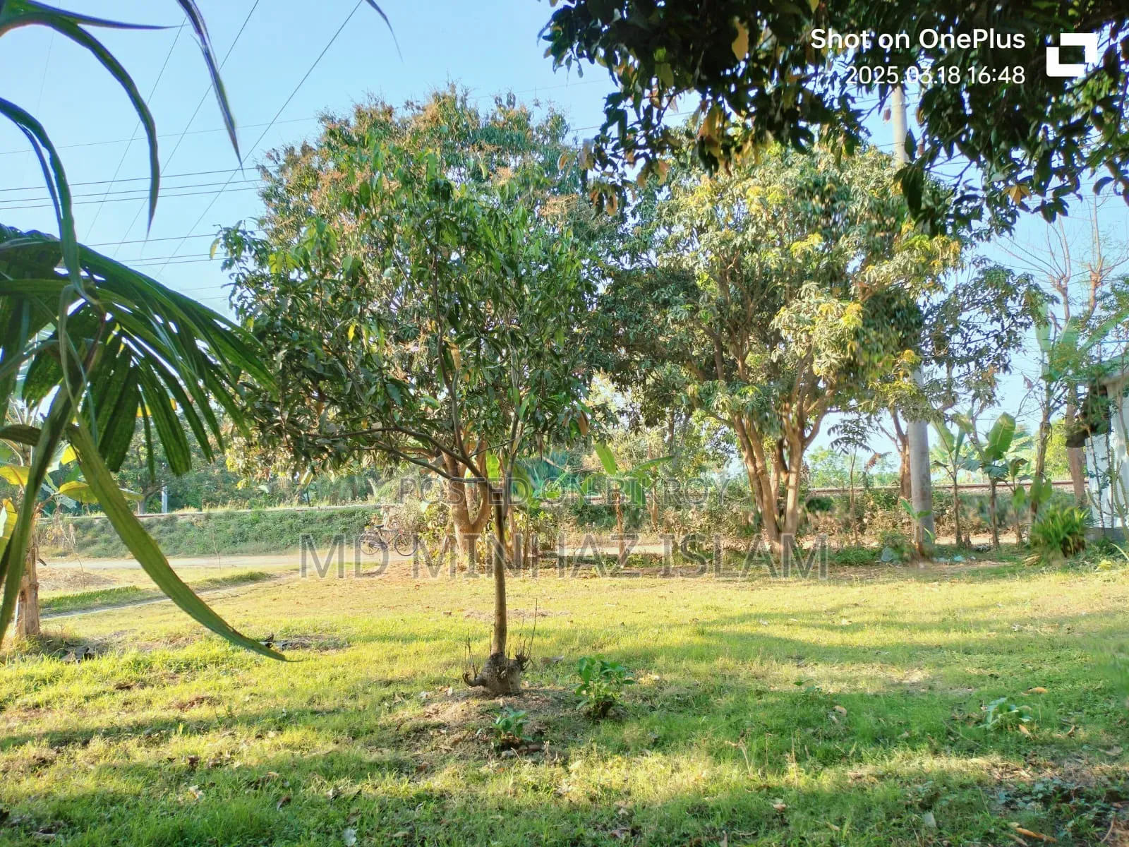 কম দামে জমিটি দিয়ে দিচ্ছি দুরুত যোগাযোগ করুন