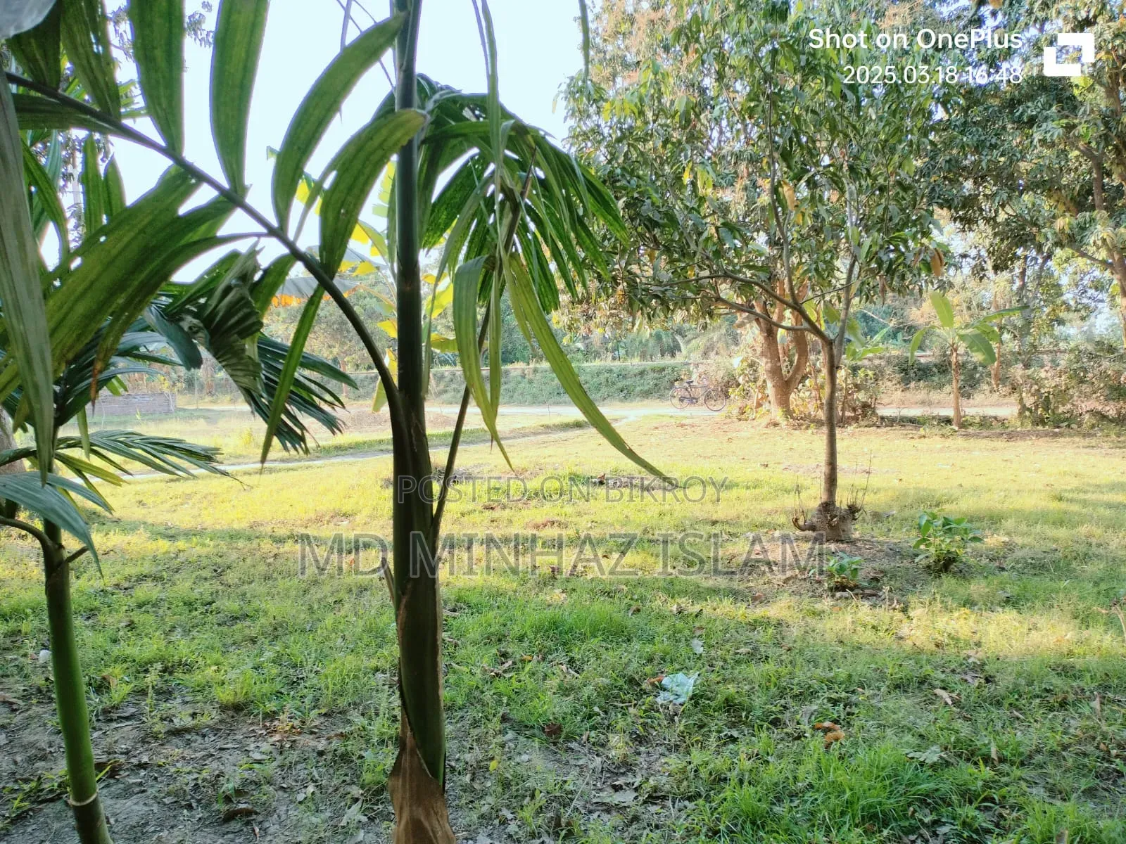 কম দামে জমিটি দিয়ে দিচ্ছি দুরুত যোগাযোগ করুন