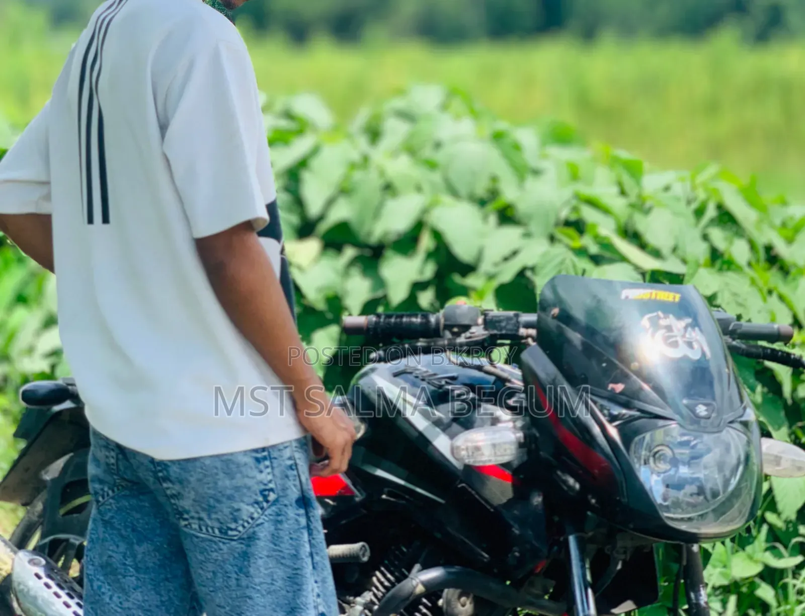Bajaj Avenger 150 Street 2018