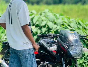 Bajaj Avenger 150 Street 2018