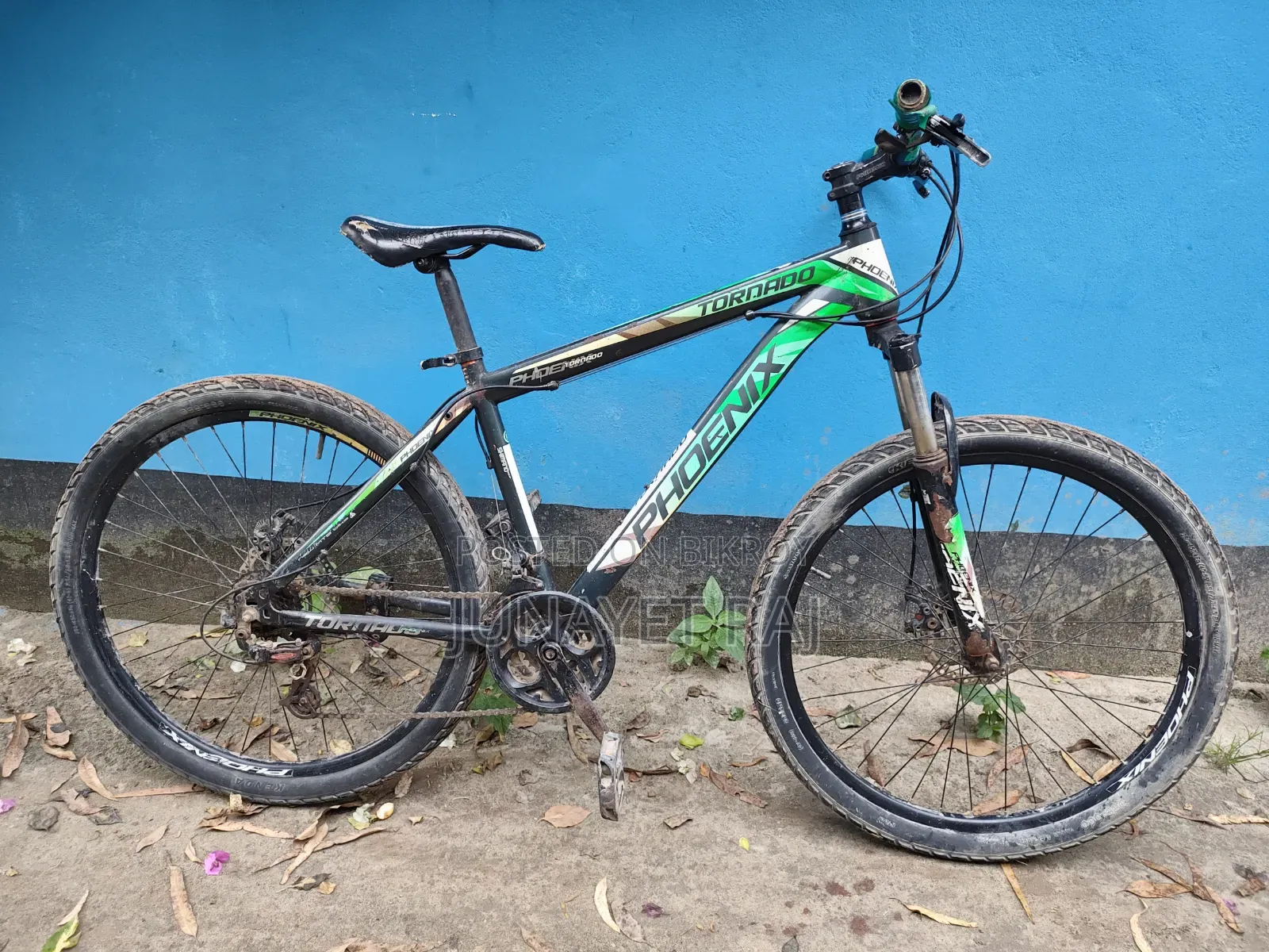 Phoenix Bicycle for Sale