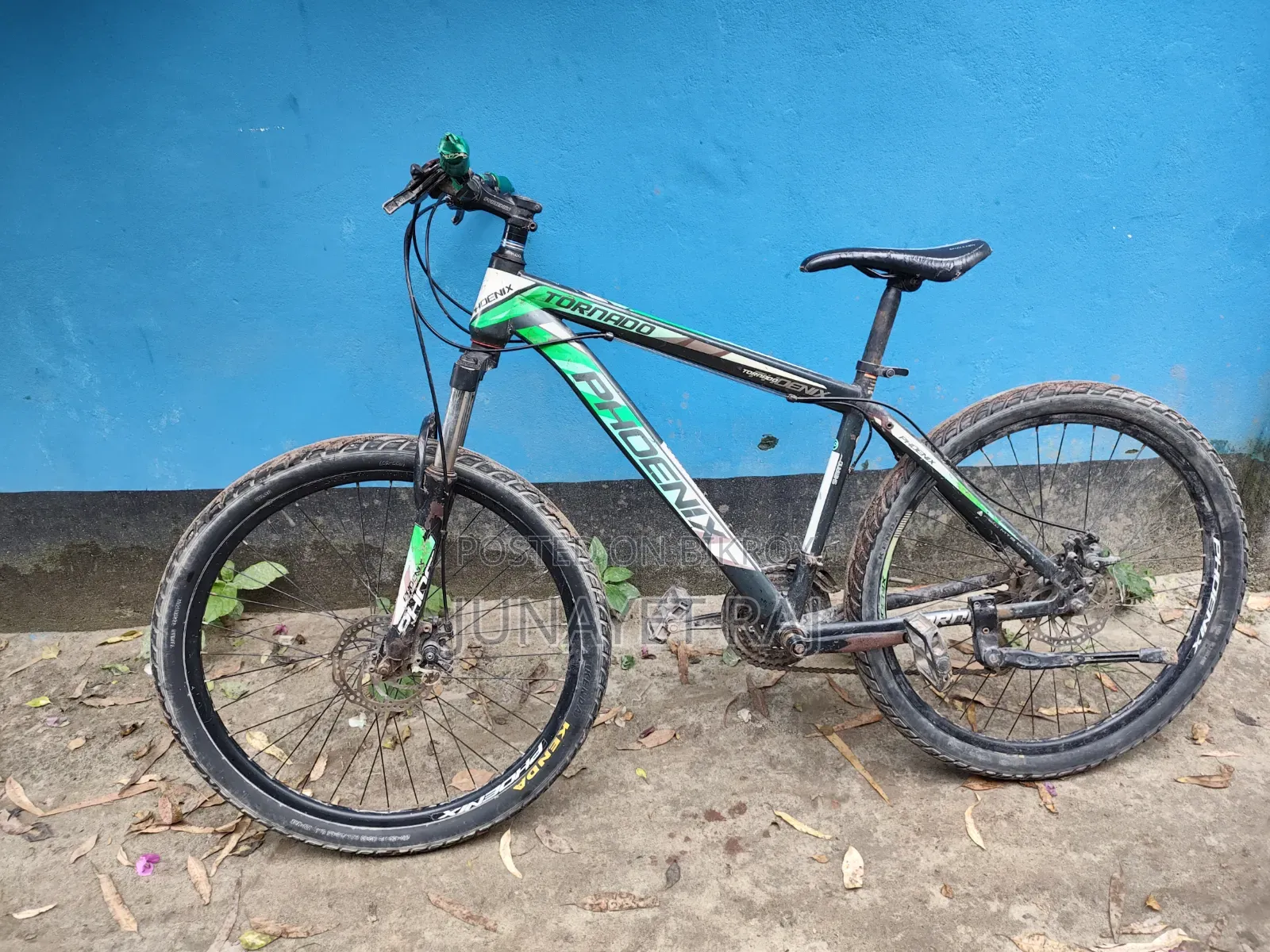 Phoenix Bicycle for Sale