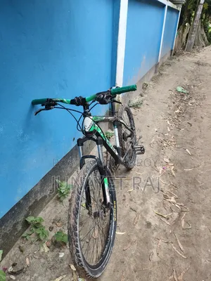 Phoenix Bicycle for Sale