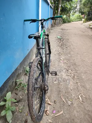 Phoenix Bicycle for Sale