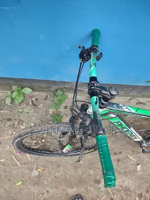 Phoenix Bicycle for Sale