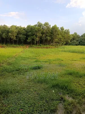 5 decimal land for sale in Gazipur at 1 lakh per decimal