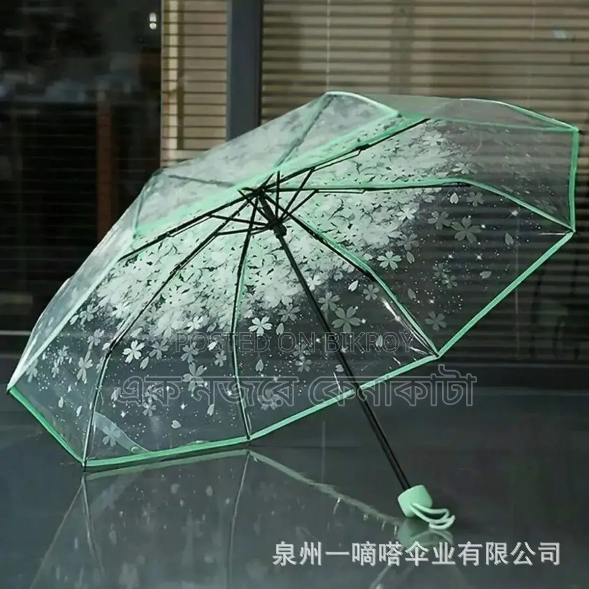 Sakura Transparent Umbrella