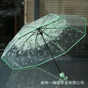 Sakura Transparent Umbrella