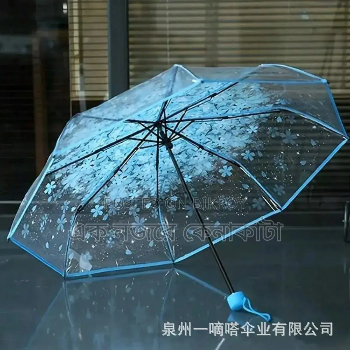 Sakura Transparent Umbrella