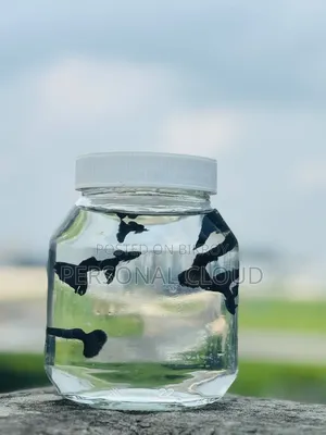 Gappy Fish