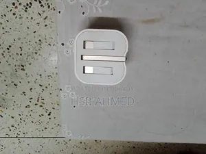 Apple Charging Adapter (Original)