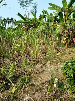 Land Sale In Rajshahi (Musrol) 2 Katha