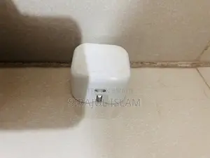 iPhone Original Adapter